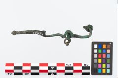 Foto von Bronzeschlangenfibel (NHMW-PRAE-023659)